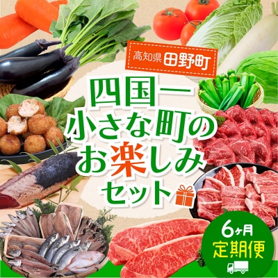≪2025年1月発送開始≫★定期便 6ヶ月(1月～6月)★～田野町お楽しみセット6回コース『A』～