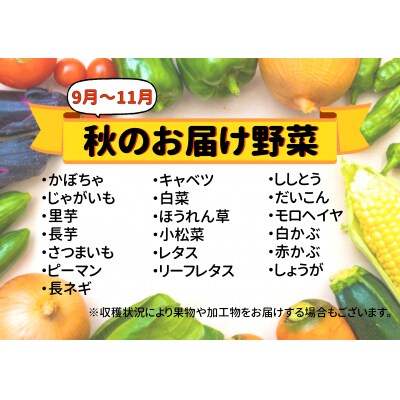 七宗町から発送　新鮮野菜詰めあわせセット(季節の野菜7～8種類)