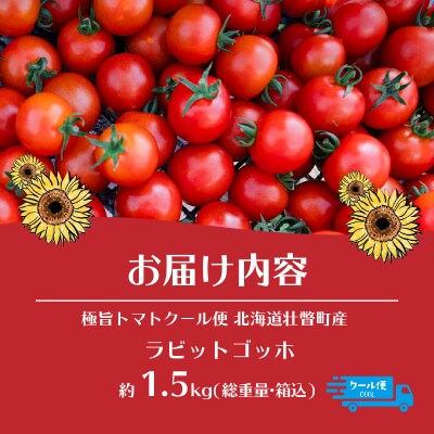 極旨トマトクール便 壮瞥町産 ラビットゴッホ1.5kg 中玉トマト SBTAJ002