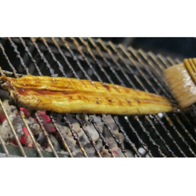 【四国一小さなまち】田野町産うなぎの蒲焼き(大)　5本　タレ付き 山椒付き