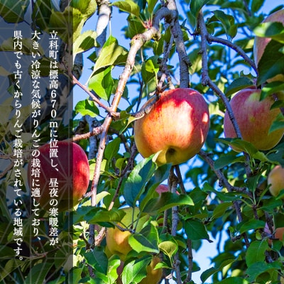 サンふじ(約5㎏、優13～18玉)　　