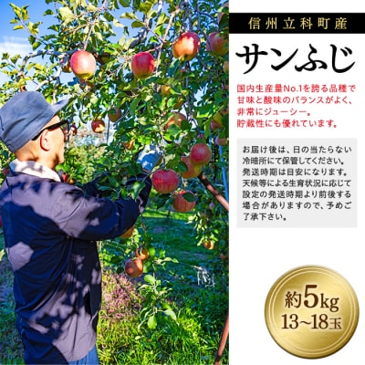 サンふじ(約5㎏、優13～18玉)　　