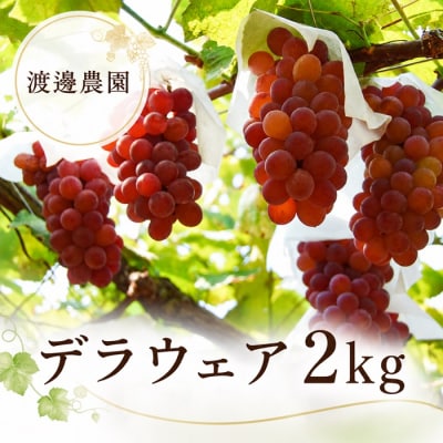 渡邊農園　デラウェア2kg【令和9年8月頃より発送!予約受付中】【A-164】