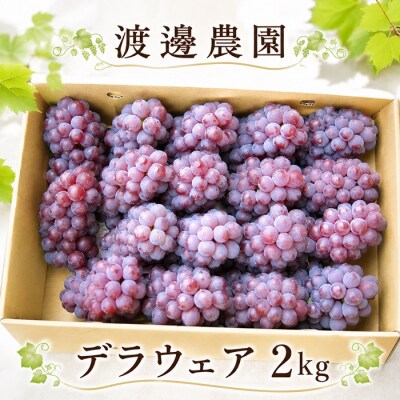 渡邊農園　デラウェア2kg【令和9年8月頃より発送!予約受付中】【A-164】