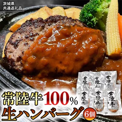 【茨城県共通返礼品】特製プレミアム 生ハンバーグ 120g×6個 合計720g  [AU037ya]
