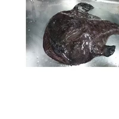 【凍眠】茨城あんこう鍋セット 鍋用あんこう 約1kg スープ約500g)  [AU039ya]
