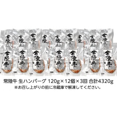 【茨城県共通返礼品】【3ヶ月定期便】プレミアム 生ハンバーグ 120g×12個入り[AU055ya]