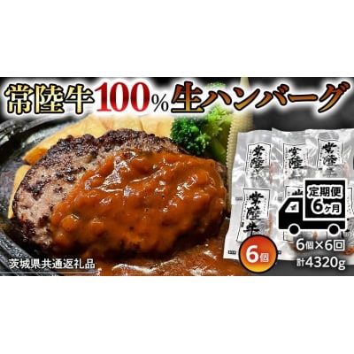 【茨城県共通返礼品】【6ヶ月定期便】プレミアム 生ハンバーグ 120g×6個入り [AU056ya]
