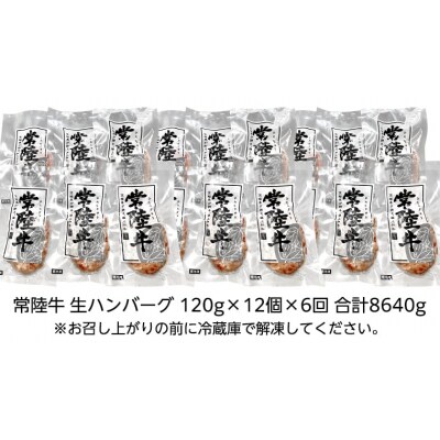 【茨城県共通返礼品】【6ヶ月定期便プレミアム 生ハンバーグ 120g×12個入り [AU057ya]