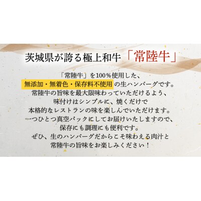 【茨城県共通返礼品】【12ヶ月定期便】プレミアム 生ハンバーグ 120g×6個入り[AU058ya]
