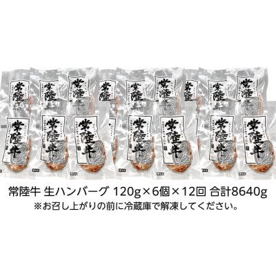【茨城県共通返礼品】【12ヶ月定期便】プレミアム 生ハンバーグ 120g×6個入り[AU058ya]