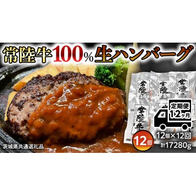 【茨城県共通返礼品】【12ヶ月定期便】プレミアム 生ハンバーグ 120g×12個入[AU059ya]