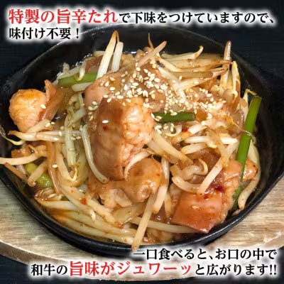 茨城県産 黒毛和牛 ホルモン 小腸 900g (150g x 6パック)  [AU078ya]