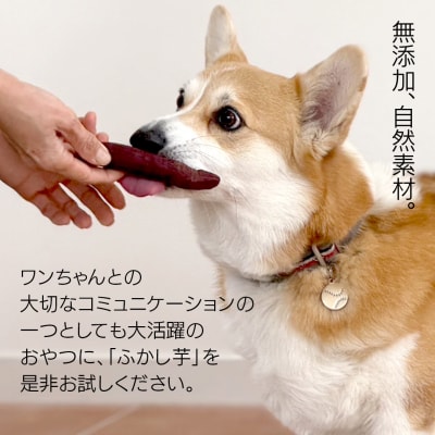 【6ヶ月定期便】動物 ペットおやつ ペット用 ふかし芋 小芋 紅はるか 4kg  [AU125ya]
