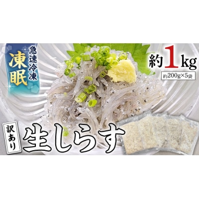 【訳あり】冷凍 生しらす 約1kg 新鮮 小分け 国産 刺身 真空パック凍眠 [AU131ya]