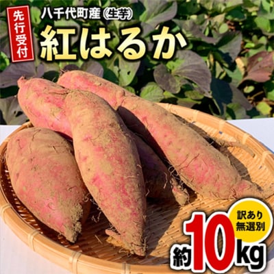 【先行受付】10月下旬以降発送 訳あり さつまいも 紅はるか 約10kg 土付き[AX010ya]