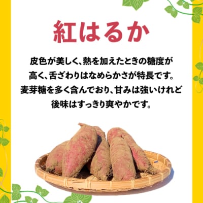 【先行受付】10月下旬以降発送 訳あり さつまいも 紅はるか 約10kg 土付き[AX010ya]