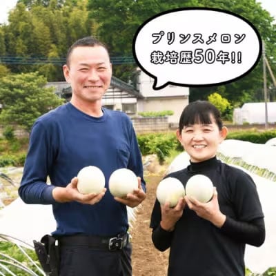 【先行受付】5月下旬以降発送 プリンスメロン (7-8玉入り) 1箱 約5kg [AX020ya]