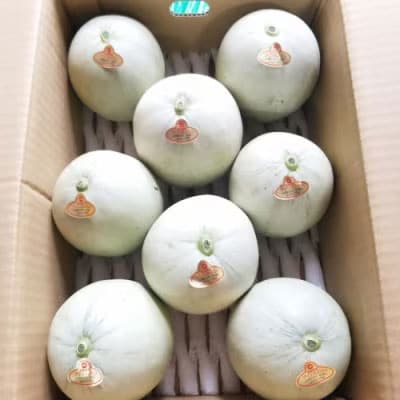 【先行受付】5月下旬以降発送 プリンスメロン (7-8玉入り) 1箱 約5kg [AX020ya]
