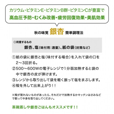 【先行受付】2026年10月上旬以降発送 銀杏 ぎんなん 約1kg [AX025ya]