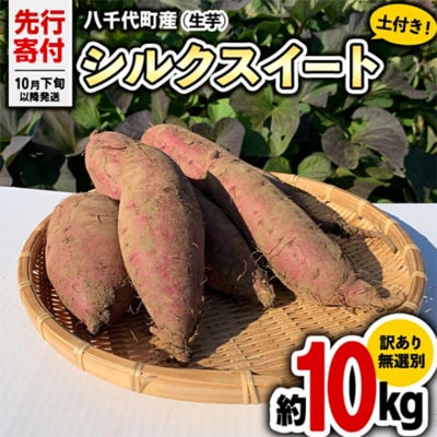 【先行受付】10月下旬以降発送 訳あり シルクスイート 約10kg さつまいも [AX035ya]