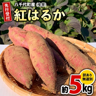【先行受付】10月下旬以降発送 訳あり さつまいも 紅はるか 約5kg 土付き [AX046ya]