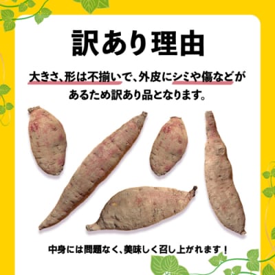 【先行受付】10月下旬以降発送 訳あり シルクスイート 約5kg さつまいも [AX047ya]