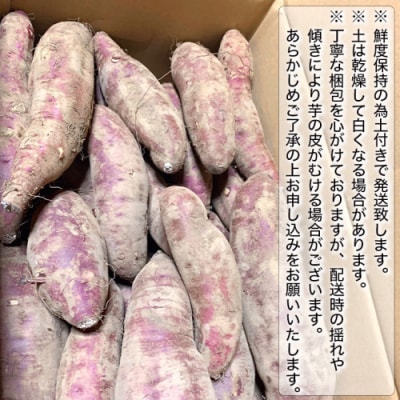 【先行受付】10月下旬以降発送 訳あり シルクスイート 約5kg さつまいも [AX047ya]