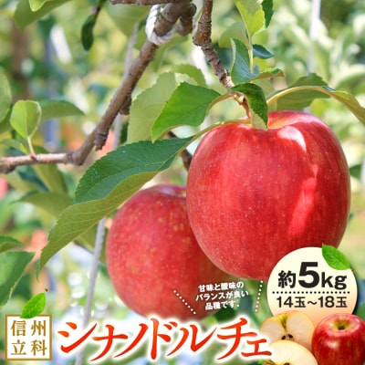 シナノドルチェ(約5kg、優14～18玉)