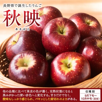 秋映(約5kg、優14～18玉)　