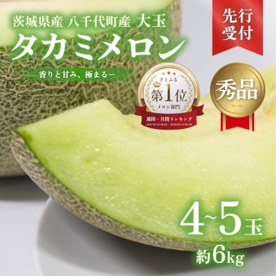 【先行受付2027年6月上旬以降発送】タカミメロン 秀品 4-5玉 約6kg [AX063ya]