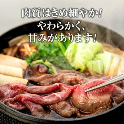 蓼科牛モモスライス400g×2