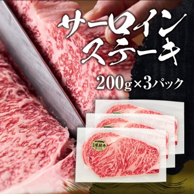 蓼科牛サーロインステーキ200g×3・ヒレステーキ120g×3　