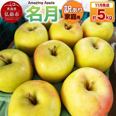 【26年11月下旬発送】りんご 名月【訳あり】家庭用 約5kg|24_cmn-110501a