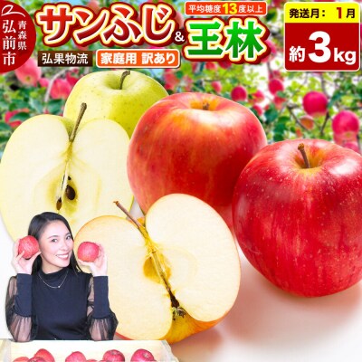 りんご サンふじ・王林 詰め合わせ【訳あり】約3kg|24_hkb-060301b