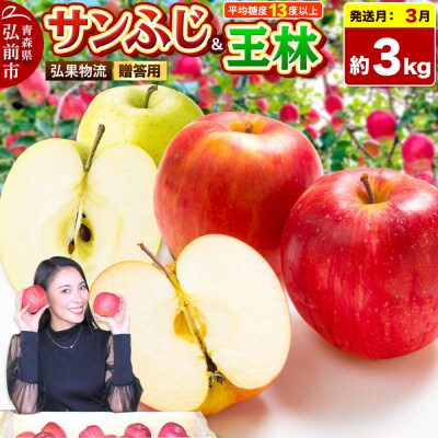 りんご サンふじ・王林 詰め合わせ【贈答用】約3kg|24_hkb-070301d