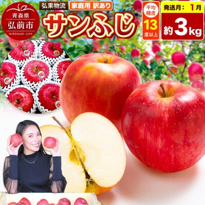 【27年1月発送】りんご サンふじ【訳あり】約3kg|24_hkb-190301c