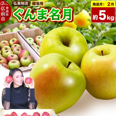 りんご 【27年2月発送】ぐんま名月【贈答用】約5kg 先行受付|24_hkb-220501e