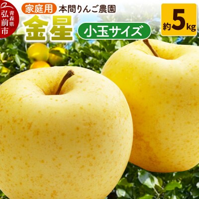 りんご【26年12月発送】金星【家庭用】約5kg 小玉 先行受付|24_hrn-050501