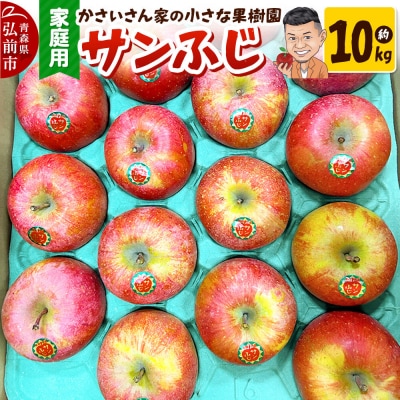 【26年12月～発送】りんご サンふじ 約10kg【家庭用】|24_kck-011001