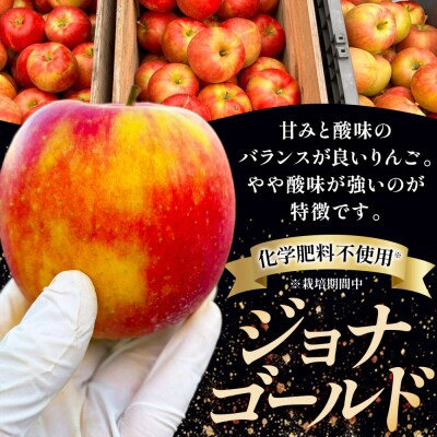 【26年10月発送】りんご 葉とらず ジョナゴールド【家庭用】約10kg|24_kmf-201001