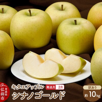 りんご【27年2月発送】シナノゴールド【訳あり】約10kg 先行受付|24_kta-071001b