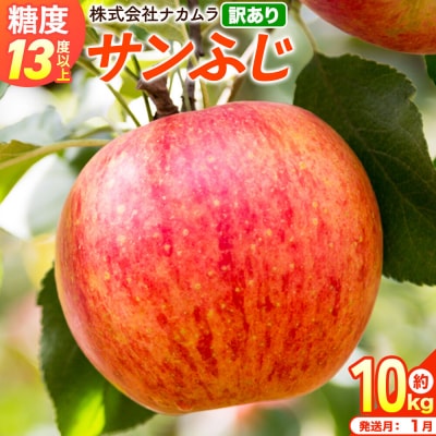 りんご サンふじ【訳あり】約10kg(28～46玉程度)先行受付|24_nmk-011001af