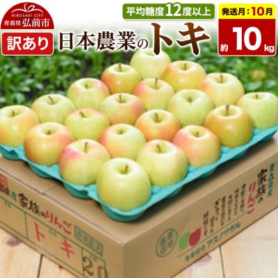 【26年10月発送】りんご トキ【訳あり】約10kg|24_nng-061001ae