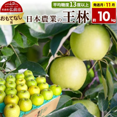 りんご【26年11月発送】王林【おもてなし用】約10kg|24_nng-111001bf