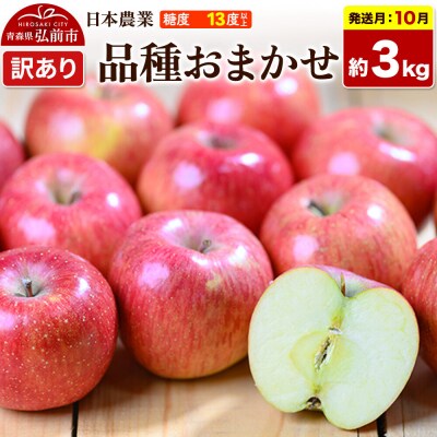 りんご【26年10月発送】品種おまかせ【訳あり】約3kg|24_nng-990301ae