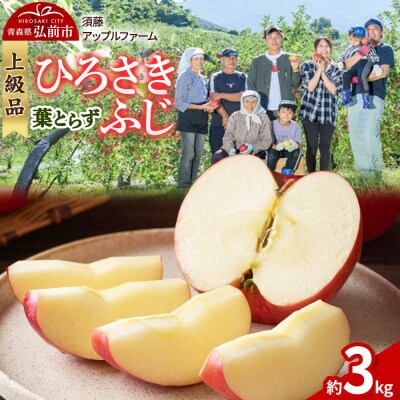 りんご ひろさきふじ 葉とらず【上級品】約3kg 贈答用|24_saf-010301