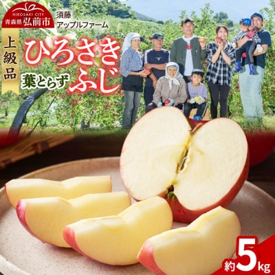 りんご ひろさきふじ 葉とらず【上級品】約5kg 贈答用|24_saf-010501