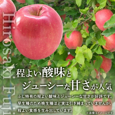 りんご ひろさきふじ 葉とらず【上級品】約5kg 贈答用|24_saf-010501