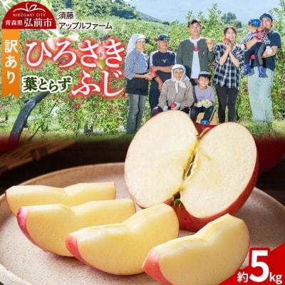 りんご ひろさきふじ 葉とらず【訳あり】約5kg|24_saf-020501